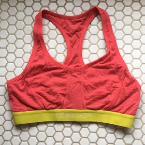 Icebreaker Sports Bra